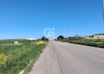 Foto 4 - Terreno agricolo Contrada Piccoli
snc, Brindisi - foto 4