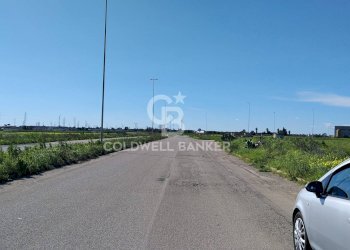 Foto 5 - Terreno agricolo Contrada Piccoli
snc, Brindisi - foto 5