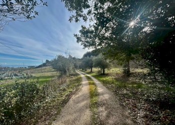 Foto 14 - Rustico Contrada San Biagio
 
6, Ripatransone - foto 14