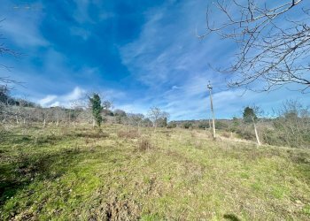 Foto 20 - Rustico Contrada San Biagio
 
6, Ripatransone - foto 20