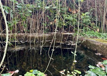 Foto 21 - Rustico Contrada San Biagio
 
6, Ripatransone - foto 21