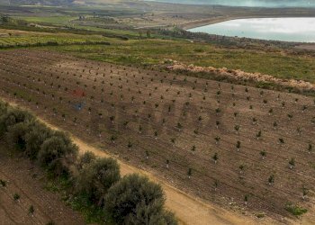 Vista delle montagne - Agricultural land str. galerno, Lentini - photo 3