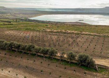 Vista delle montagne - Agricultural land str. galerno, Lentini - photo 4