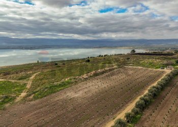 Vista dell\'acqua - Agricultural land str. galerno, Lentini - photo 5