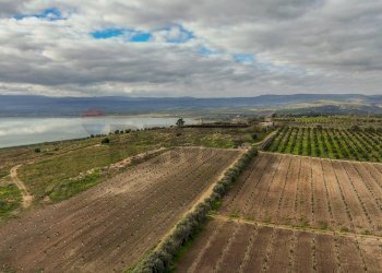 Vista dell\'acqua - Agricultural land str. galerno, Lentini - photo 6