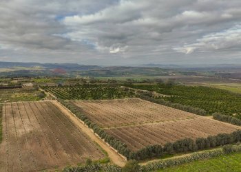 Vista delle montagne - Agricultural land str. galerno, Lentini - photo 7