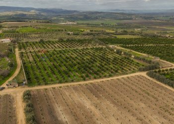 Vista delle montagne - Agricultural land str. galerno, Lentini - photo 8