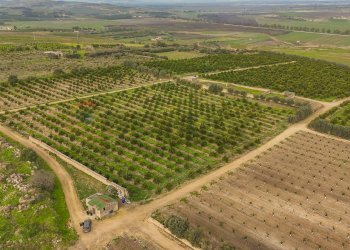 Vista delle montagne - Agricultural land str. galerno, Lentini - photo 9
