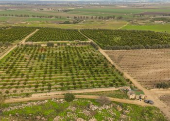 Vista delle montagne - Agricultural land str. galerno, Lentini - photo 10