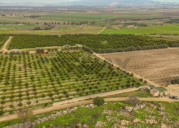 Vista delle montagne - Agricultural land str. galerno, Lentini - photo 11