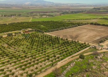 Vista delle montagne - Agricultural land str. galerno, Lentini - photo 12