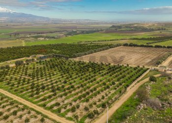 Vista delle montagne - Agricultural land str. galerno, Lentini - photo 13