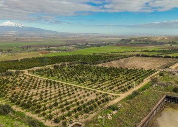 Vista delle montagne - Agricultural land str. galerno, Lentini - photo 14