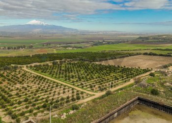 Vista delle montagne - Agricultural land str. galerno, Lentini - photo 15