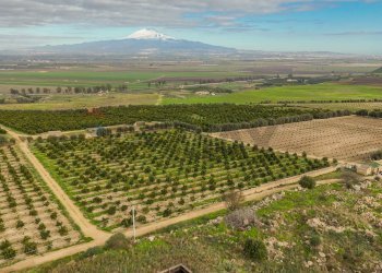 Vista delle montagne - Agricultural land str. galerno, Lentini - photo 16