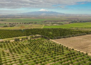 Vista delle montagne - Agricultural land str. galerno, Lentini - photo 17