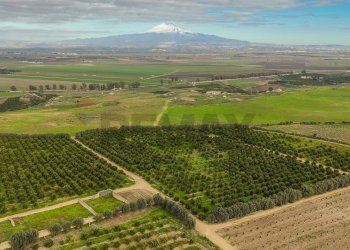 Vista delle montagne - Agricultural land str. galerno, Lentini - photo 18