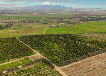 Vista delle montagne - Agricultural land str. galerno, Lentini - photo 19