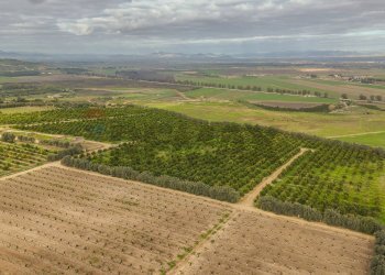 Vista delle montagne - Agricultural land str. galerno, Lentini - photo 20