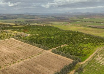 Vista delle montagne - Agricultural land str. galerno, Lentini - photo 21