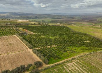 Vista delle montagne - Agricultural land str. galerno, Lentini - photo 22