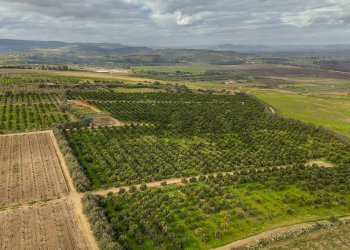 Vista delle montagne - Agricultural land str. galerno, Lentini - photo 23
