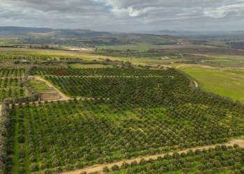 Vista delle montagne - Agricultural land str. galerno, Lentini - photo 24
