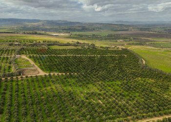 Vista delle montagne - Agricultural land str. galerno, Lentini - photo 25