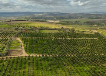 Vista delle montagne - Agricultural land str. galerno, Lentini - photo 26