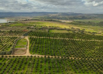 Vista delle montagne - Agricultural land str. galerno, Lentini - photo 27