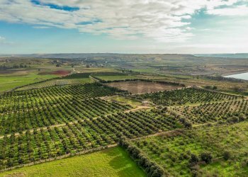 Vista delle montagne - Agricultural land str. galerno, Lentini - photo 29