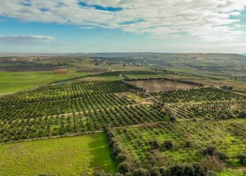 Vista delle montagne - Agricultural land str. galerno, Lentini - photo 30