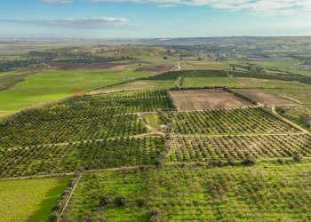 Vista delle montagne - Agricultural land str. galerno, Lentini - photo 31
