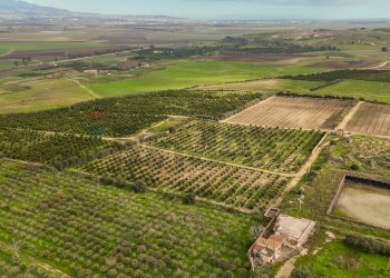 Vista delle montagne - Agricultural land str. galerno, Lentini - photo 33