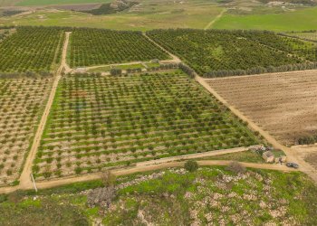 Posizione della mappa - Agricultural land str. galerno, Lentini - photo 34