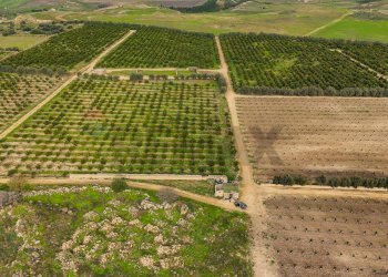 Posizione della mappa - Agricultural land str. galerno, Lentini - photo 35
