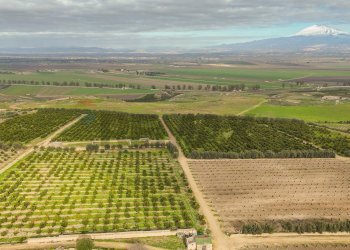 Vista delle montagne - Agricultural land str. galerno, Lentini - photo 36