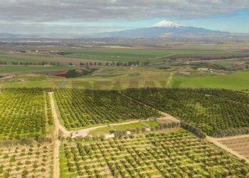 Vista delle montagne - Agricultural land str. galerno, Lentini - photo 37