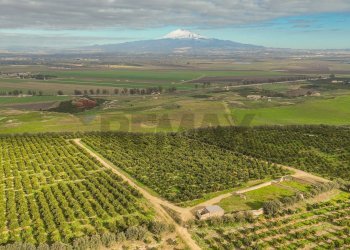Vista delle montagne - Agricultural land str. galerno, Lentini - photo 38