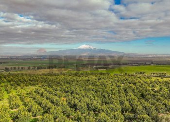 Vista delle montagne - Agricultural land str. galerno, Lentini - photo 40