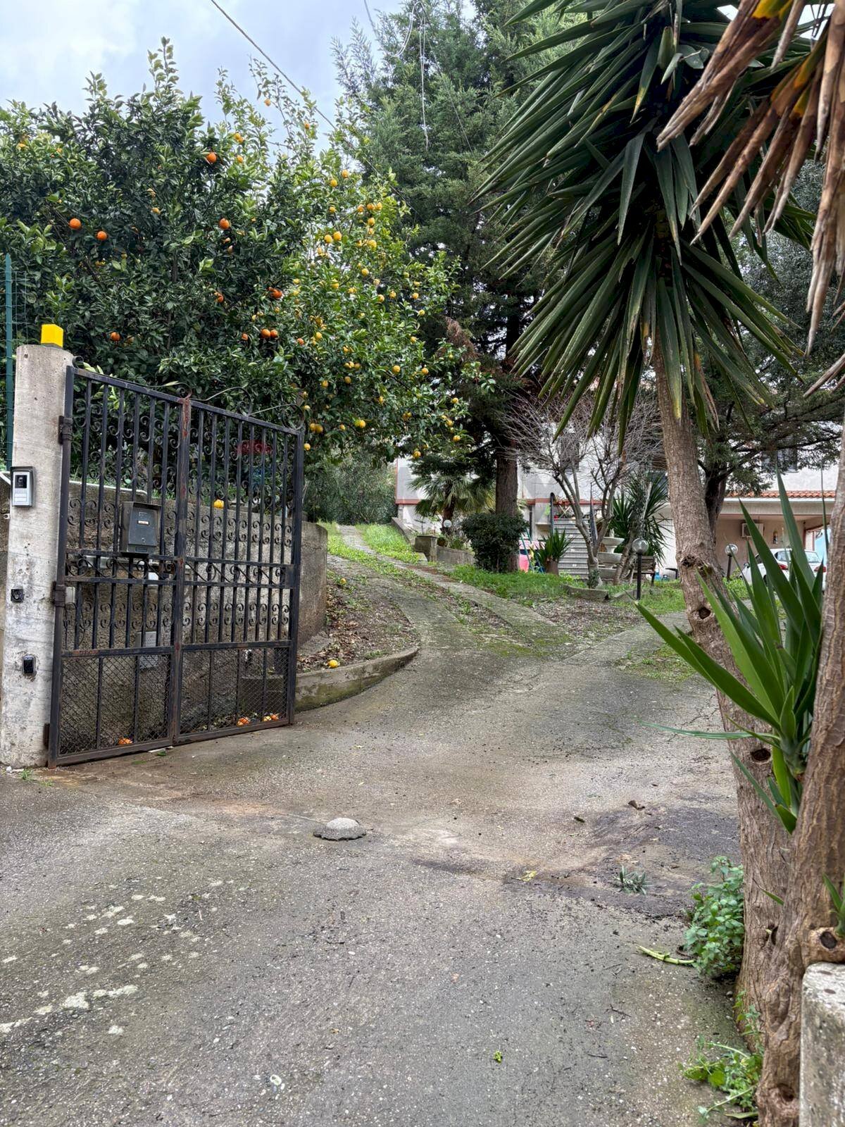 Giardino - Appartamento via Bufaletto
 
snc, Roggiano Gravina - foto 2