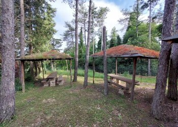 Giardino - Agriturismo Località San Donnino
 
252, Arezzo - foto 23