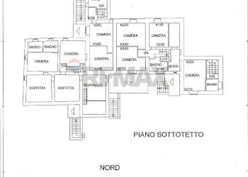 Pianta 2D - Agriturismo Località San Donnino
 
252, Arezzo - foto 26