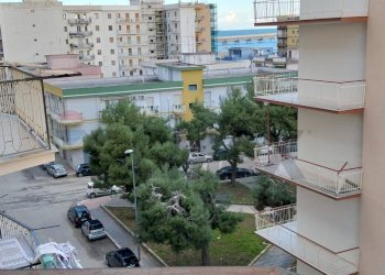 Edificio all\'aperto - Quadrilocale Viale Beccarini
 
30, Manfredonia - foto 20