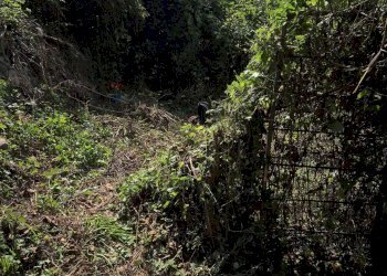 Giardino - Casa semi indipendente Via Cabitti
 
SNC, Pallare - foto 23