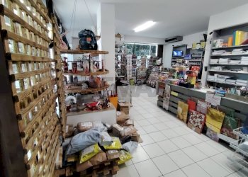 negozio interno - Commercial Activity VIA PALEOCAPA
 
47, Alzano Lombardo - photo 6