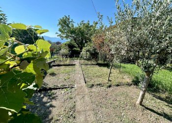 Giardino - Bilocale Solto Collina - foto 8