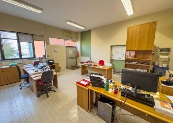 Foto 16 - Capannone Via Pietro Ferrero, Grugliasco - foto 16