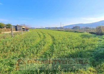 Foto 2 - Terreno agricolo Ottantesima Strada, Monteprandone - foto 2