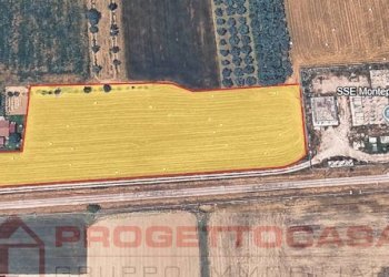 Foto 4 - Terreno agricolo Ottantesima Strada, Monteprandone - foto 4